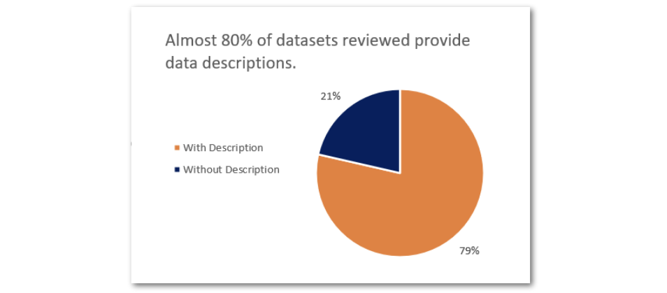 Pie chart of percentages of datasets with and without summaries where almost 80% have a summary.